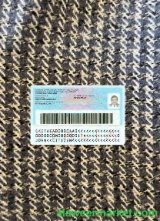 Italy ID (2016 - present) photolook BACK